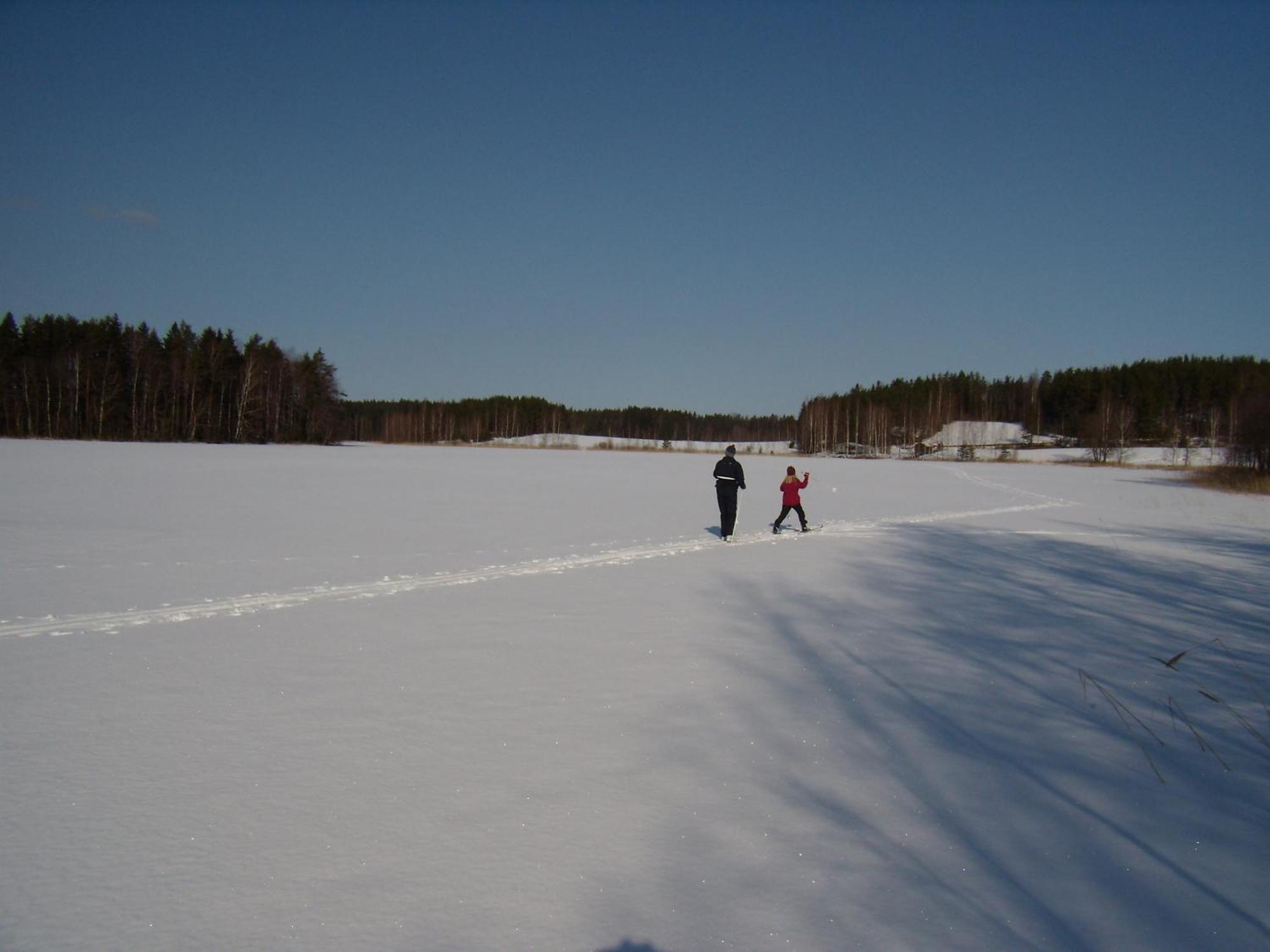 Tapion Huvilat Ylämaa Exterior photo